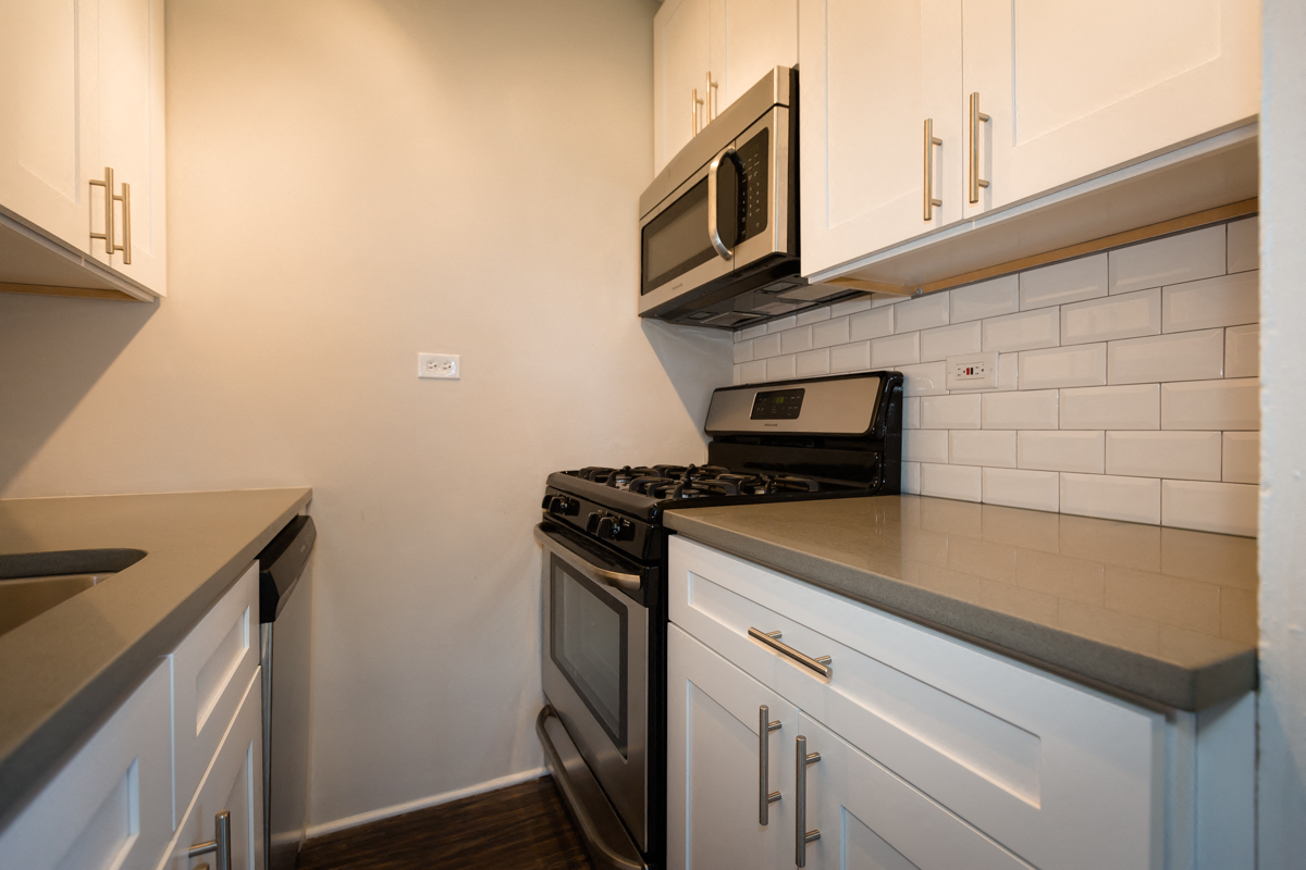 renovated kitchen stainless steel appliances hyde park chicago for rent